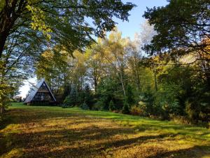 a barn in the middle of a field with trees at U Hanki in Żywiec