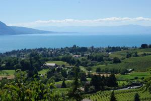 a view of the lake from a vineyard at Villa Escondida 1 in Blonay