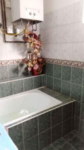Holiday home Abadszalok/Theiss-See 27793 في أبادزالوك: حوض استحمام في حمام به بلاط أخضر