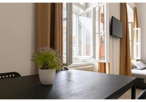 a table with a potted plant on it in front of a window at 2 Pleasant Flats - Perfect for Long Stays in Vienna