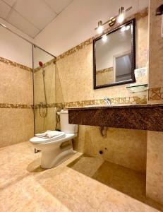 a bathroom with a toilet and a sink and a mirror at Tulip Hotel in Da Lat