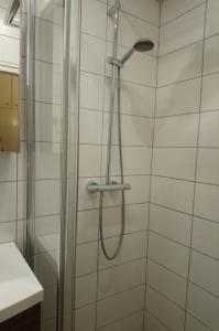a shower with a shower head in a bathroom at Melker Apartment in Melk