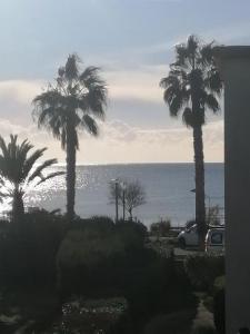 grupa palm przed oceanem w obiekcie Magnifique Duplex face à la Mer w mieście Saint-Cyr-sur-Mer
