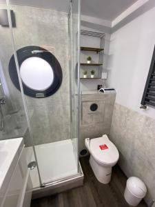 a small bathroom with a toilet and a shower at Hausboot Fjord Serina mit Biosauna in Schleswig in Schleswig