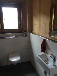 a bathroom with a toilet and a sink and a window at Ferienchalet Elisabeth in Steeg