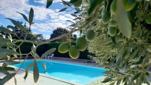 una piscina en un jardín con árboles en Mas de Bouvau, en Violès