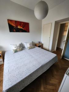 1 dormitorio con 1 cama grande en una habitación en Confortable Habitacion en casa particular con baño compartido en Buenos Aires
