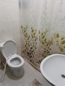 a bathroom with a toilet and a sink and a shower curtain at Studeo for rent in Amman