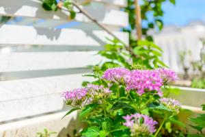 Zahrada ubytování Apulia Hotel Ugento Cala Blu + 37 fotografií