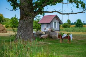 una piccola casa con tetto rosso seduta accanto ad un albero di Dižozoli a Priekule
