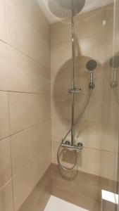 ein Bad mit einer Dusche mit einem Duschkopf in der Unterkunft NAHIMA PARKING FREE in San Sebastián