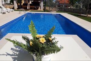 Bazén v ubytovaní Villa Nevena in Buići Poreč for max 10 Persons 6km from the beach alebo v jeho blízkosti