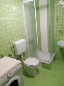 ein grünes Bad mit einem WC und einer Dusche in der Unterkunft Apartments Piko2 in Jelsa