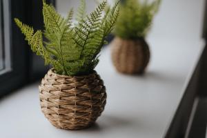 two plants in a wicker vase on a table at Victoria Home - 2 Bedroom Wi-Fi Parking Workers in Hyde