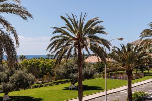 a view of a park with palm trees and a road at Chalet adosado en Pasito PTOM23 in Pasito Blanco
