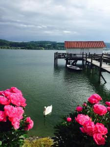 Gallery image of Hotel Sommerhaus Garni am See in Bodman-Ludwigshafen