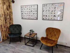Posezení v ubytování Askja Hostel