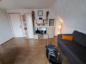 Ferienwohnung في Neukirchen: غرفة معيشة بها أريكة وتلفزيون