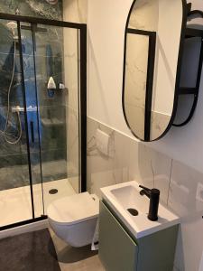 a bathroom with a toilet and a sink and a mirror at Appartement Juf in Lisse +9 photos