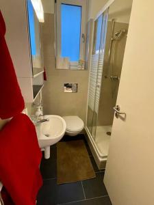 La salle de bains est pourvue d'un lavabo, de toilettes et d'une douche. dans l'établissement Gemütliche Wohnung an bester Lage im Kreis 4, à Zurich