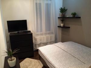 a bedroom with a bed and a flat screen tv at Central King Apartment in Budapest