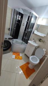 a bathroom with a toilet and a shower and a sink at Închiriez garsonieră Regim hotelier in Râmnicu Vâlcea