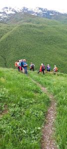 a group of people walking down a grassy hill at Ushguli Hotel Riho in Ushguli