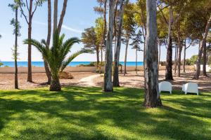 a park with two chairs and trees on the beach at Marinella in Terrauzza