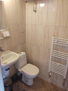 y baño con aseo y lavamanos. en Apartment Domino, en Belogradchik