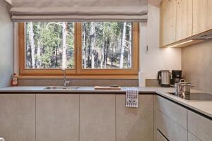Η κουζίνα ή μικρή κουζίνα στο Les Ciases Chalets Dolomites Apt 5