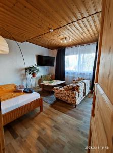 a living room with a bed and a couch at Ferienwohnung Beeden - zur Glasschmiede in Homburg