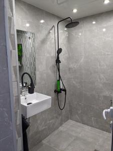 a bathroom with a sink and a shower at Welcome Stara Zagora Apartment 4 Guests Pet Friendly in Stara Zagora