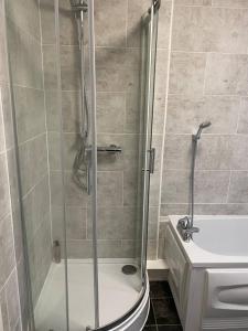 a bathroom with a shower and a toilet and a sink at River Penthouse Apartment In The Heart of in Saint Neots