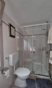 y baño con aseo y ducha acristalada. en Beautifully restored romantic apartment in the centre of historic Dolcedo, en Dolcedo