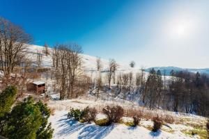 einen schneebedeckten Hügel mit Bäumen und einem Haus in der Unterkunft Bergschwalbe St. Andreasberg in Sankt Andreasberg