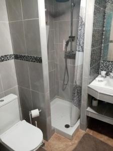 a bathroom with a shower and a toilet and a sink at Guesthouse Milagre Centro Faro in Faro +16 photos