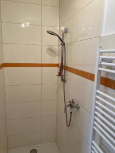 a shower with a shower head in a bathroom at Heurigenbar in Feldkirchen an der Donau