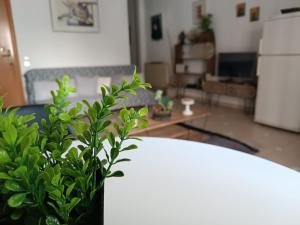 a living room with a potted plant in the foreground at Sofia-Marina Guest House in Xanthi