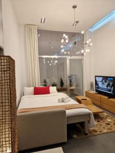 1 dormitorio con 1 cama grande y TV en Loft designed City Center, en Toledo