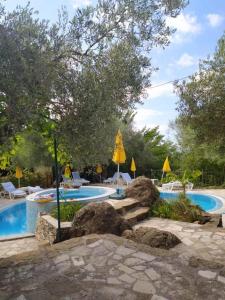 a swimming pool with chairs and rocks in a yard at Olive trees in Budva