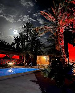 a palm tree next to a swimming pool at night at Riad Ambelar in Erfoud