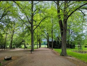 コペンハーゲンにあるApartmentInCopenhagen Apartment 1310の木々や芝生が茂る公園内の小道