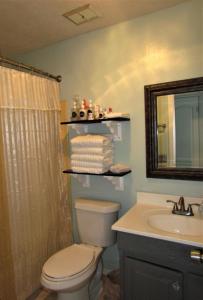 a bathroom with a toilet and a sink and a mirror at SPACIOUS POOL HOME in North FL in Keystone Heights
