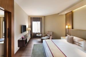 TV a/nebo společenská místnost v ubytování Hyatt Regency Delhi