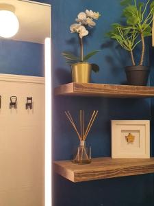 a room with a blue wall with shelves with plants at The Milltown Apartment in Dublin