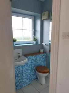 uma casa de banho com um WC, um lavatório e uma janela em The Milltown Apartment em Dublin