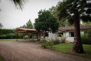 a house with a palm tree in front of it at Hacienda en parral con piscinas, Jacuzzi y Más in Retiro