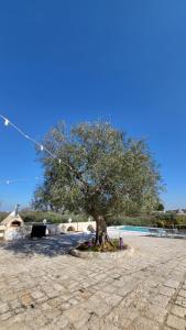 Foto dalla galleria di Casa Relax Isabelle ad Alberobello