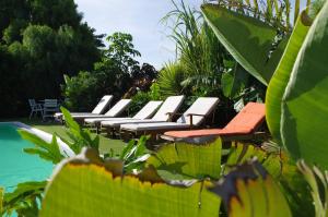 a row of lounge chairs sitting next to a pool at Surfescape Fuerteventura in Lajares