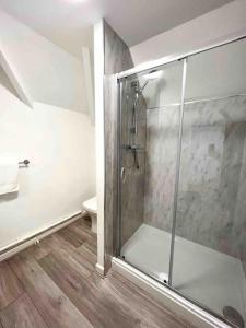 uma casa de banho com uma cabina de duche em vidro e um WC. em The Beeches - Entire Mansion em Bristol